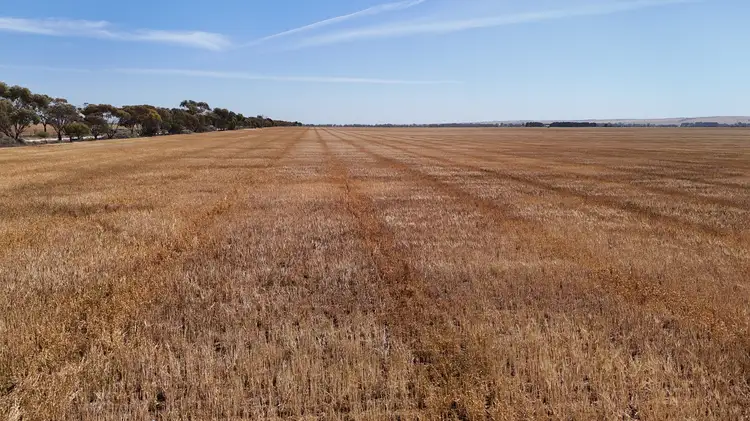 Fifth view of Homely rural property listing, Section 31 Collinsfield Road, Koolunga SA 5464
