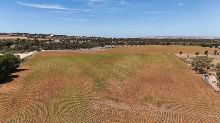Main view of Homely land listing, Section 536 RF Nicholls Drive, Crystal Brook SA 5523
