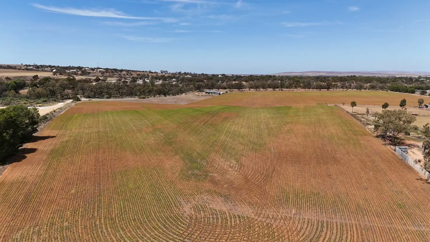 Main view of Homely land listing, Section 536 RF Nicholls Drive, Crystal Brook SA 5523
