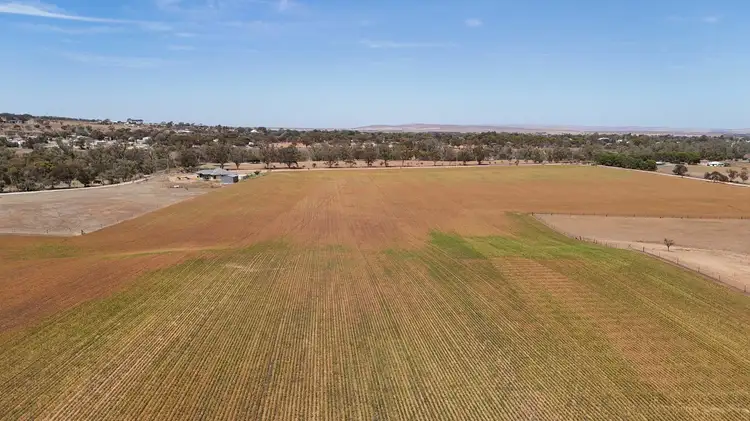 Third view of Homely land listing, Section 536 RF Nicholls Drive, Crystal Brook SA 5523
