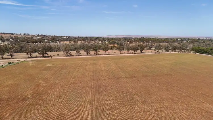 Fifth view of Homely land listing, Section 536 RF Nicholls Drive, Crystal Brook SA 5523