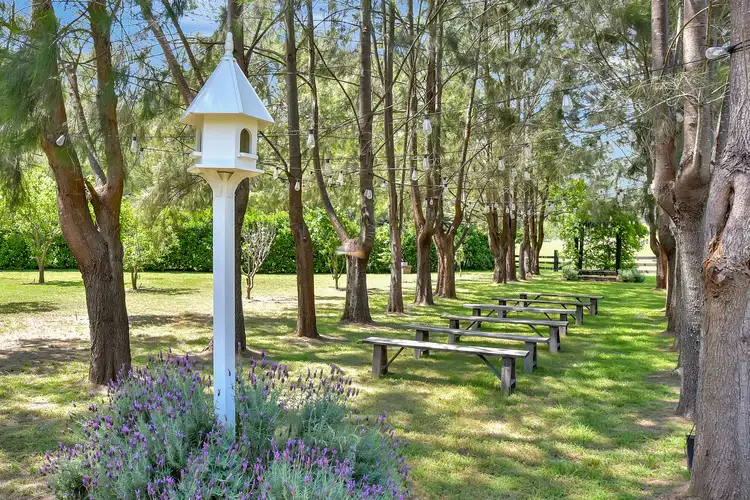 Sixth view of Homely rural property listing, 350 Wollombi Road, Broke NSW 2330