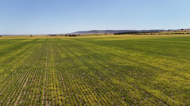 Allotment 78 Augusta Highway, Crystal Brook SA 5523