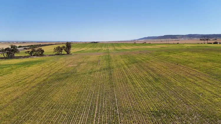 Third view of Homely rural property listing, Allotment 78 Augusta Highway, Crystal Brook SA 5523