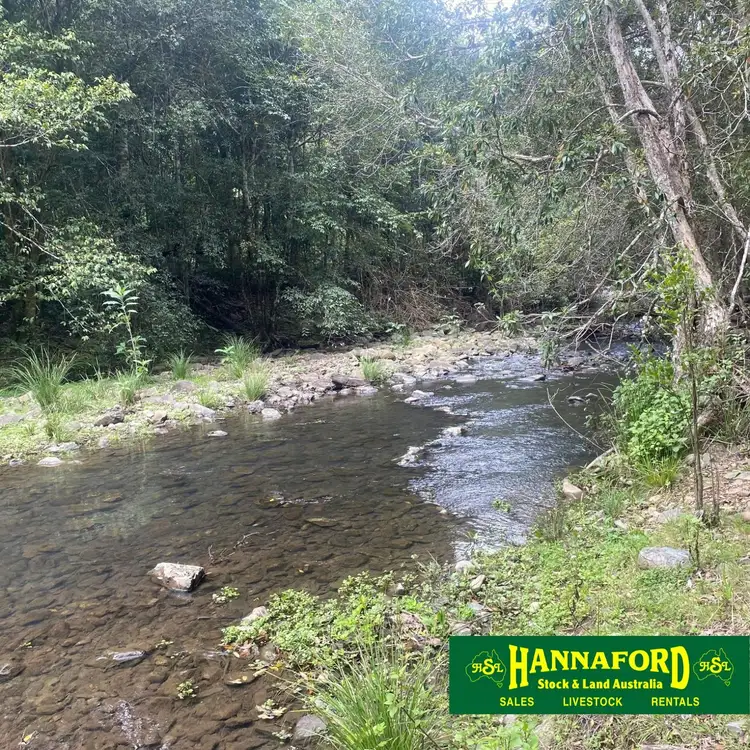 Third view of Homely rural property listing, 686 Craven Creek Rd, Rookhurst NSW 2422