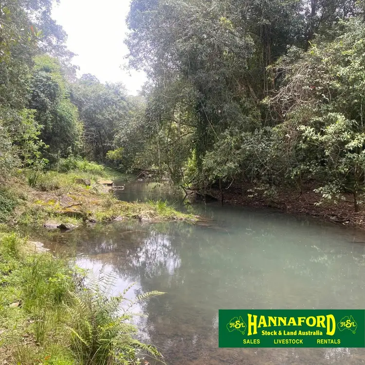 Fifth view of Homely rural property listing, 686 Craven Creek Rd, Rookhurst NSW 2422