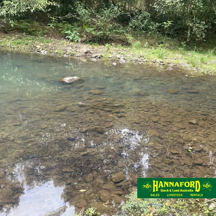 Sixth view of Homely rural property listing, 686 Craven Creek Rd, Rookhurst NSW 2422