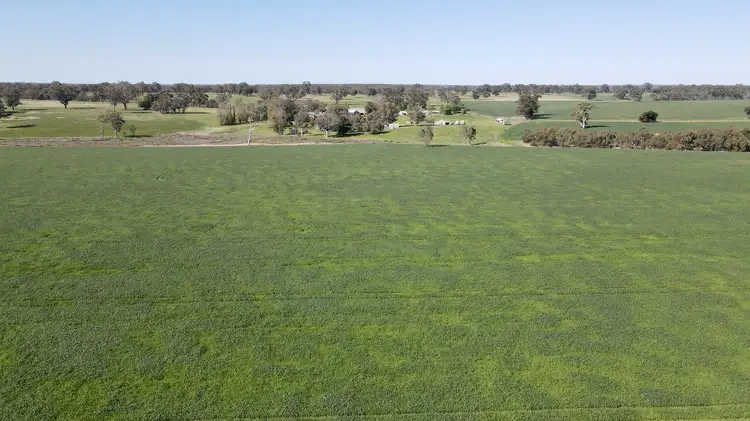Fifth view of Homely rural property listing, 173 Mcclures Rd, Connewirricoo VIC 3318