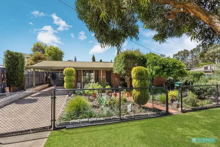 Main view of Homely house listing, 13 Marroo St, White Hills VIC 3550