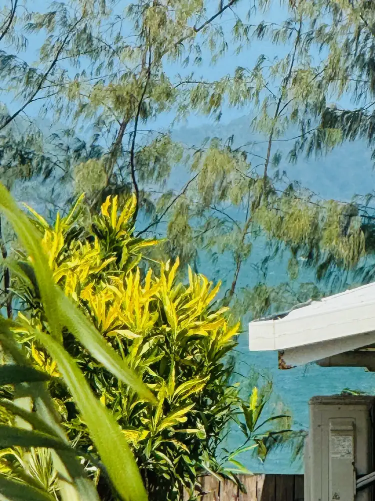 Sixth view of Homely unit listing, Unit 4/40 Wall St, South Mission Beach QLD 4852