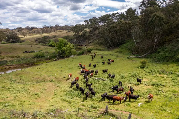 Sixth view of Homely rural property listing, 245 River Station Road, Rylstone NSW 2849