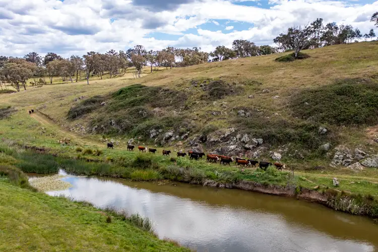 Seventh view of Homely rural property listing, 245 River Station Road, Rylstone NSW 2849
