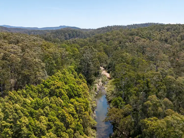 Fourth view of Homely rural property listing, 1215 Nethercote Rd, Nethercote NSW 2549