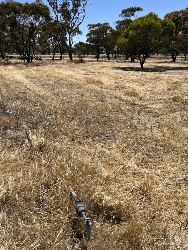 Second view of Homely land listing, 37 or 41 Dempster St, Meckering WA 6405