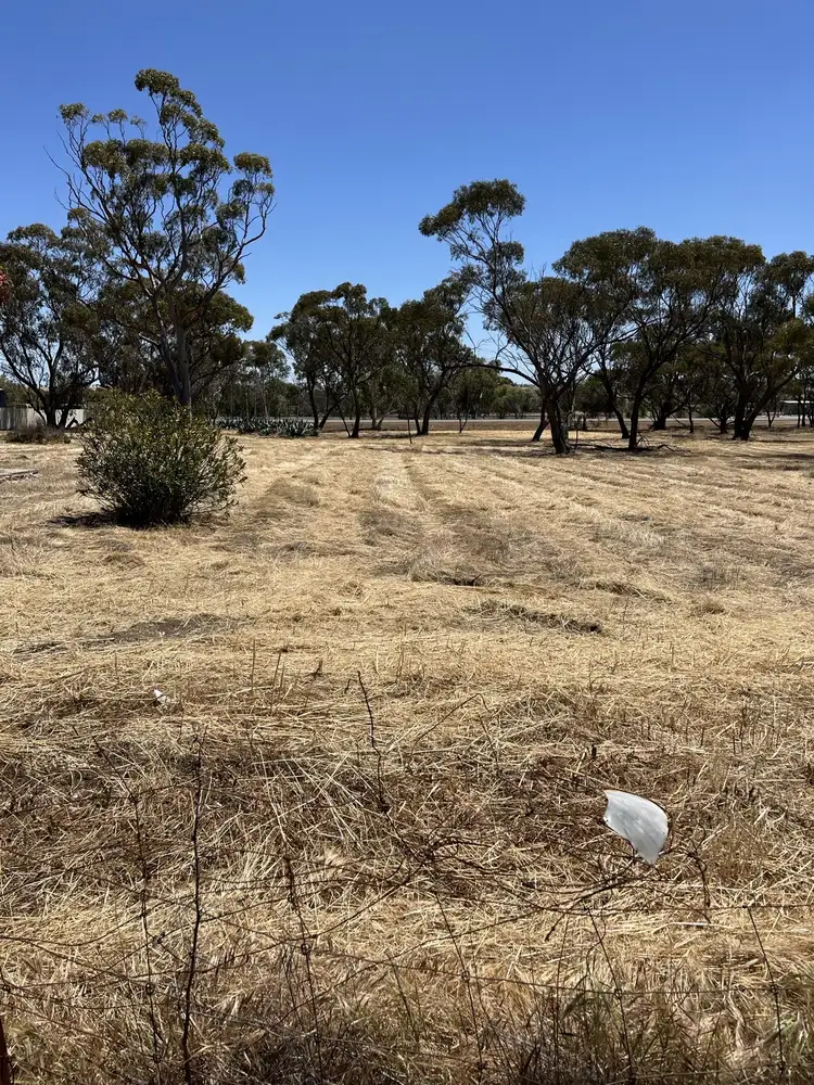Third view of Homely land listing, 37 or 41 Dempster St, Meckering WA 6405