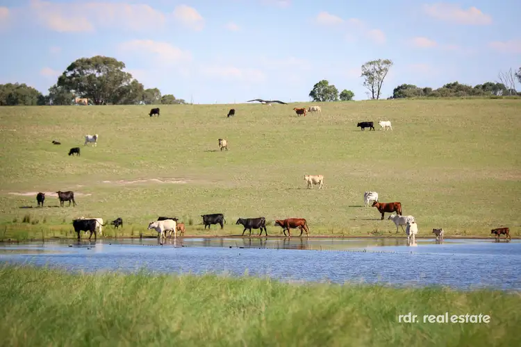 Third view of Homely rural property listing, 109 Gowrie Road, Inverell NSW 2360