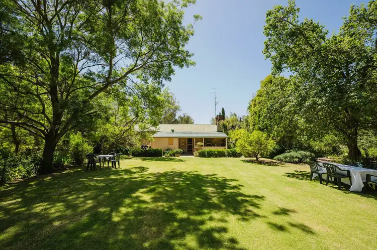 8 Young St, Auburn SA 5451