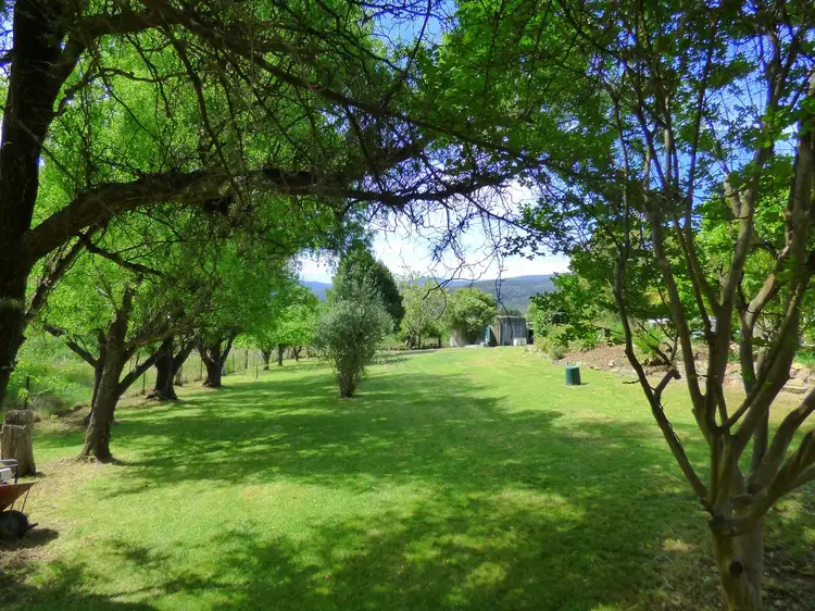 Second view of Homely house listing, 13 Nangutta St, Towamba NSW 2550