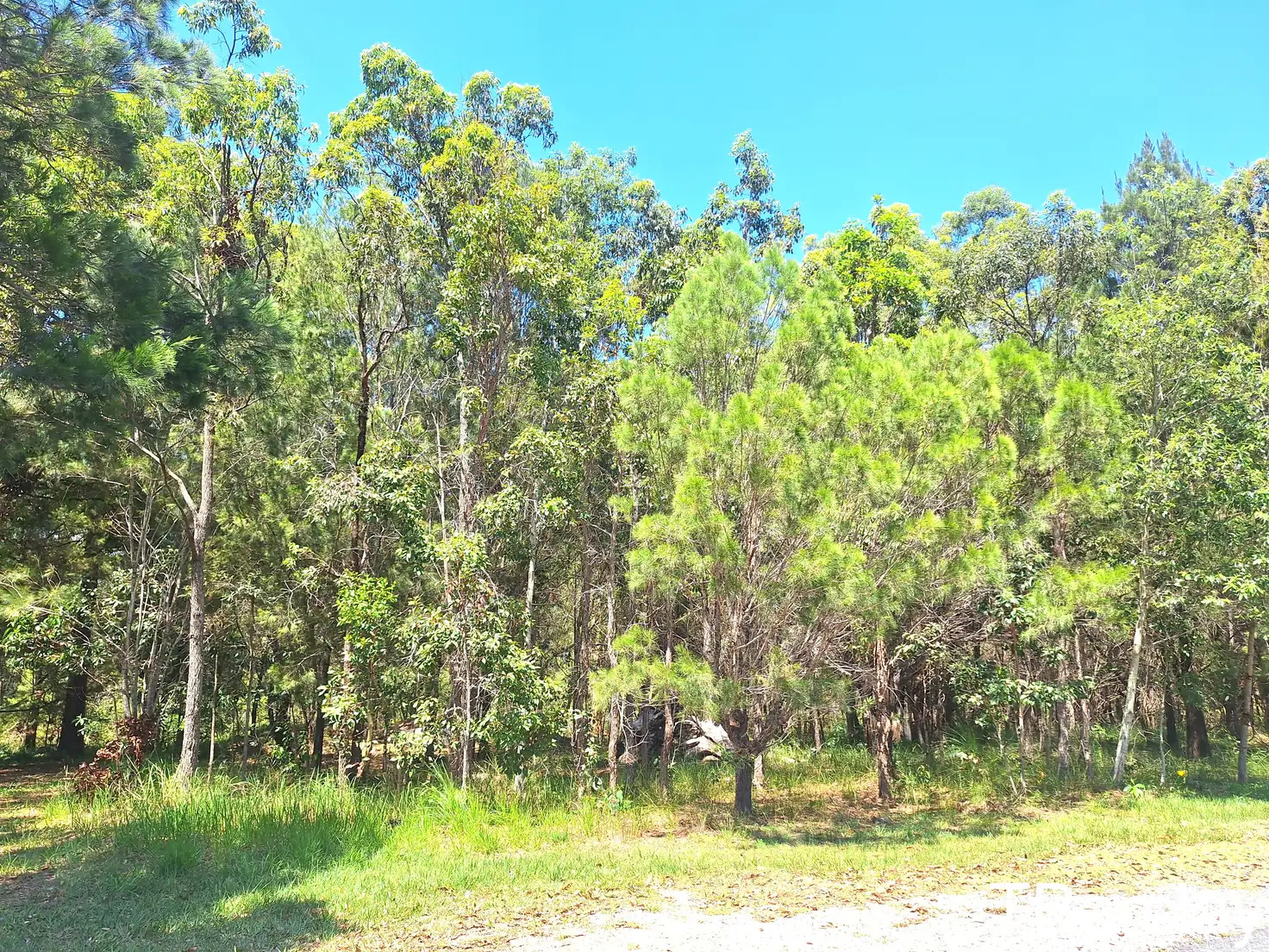 Main view of Homely land listing, 54 Wirralee St, Macleay Island QLD 4184