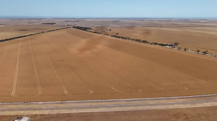Third view of Homely rural property listing, Lot 318 & 319 Ferguson Rd, Weetulta SA 5573