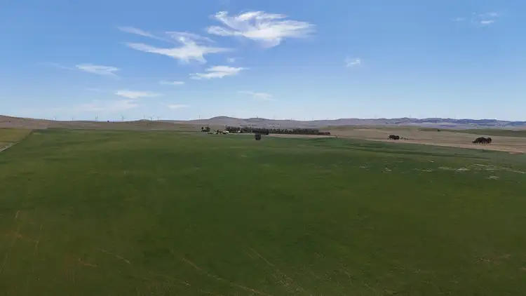 Fifth view of Homely rural property listing, 'Cummings' Cudmore Gap Road, Jamestown SA 5491