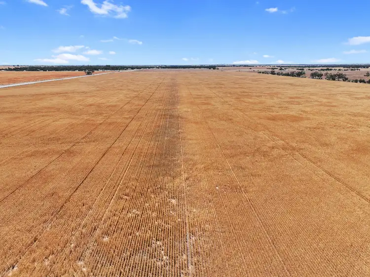 Third view of Homely rural property listing, 8724 St Vincent Hwy, Yorketown SA 5576