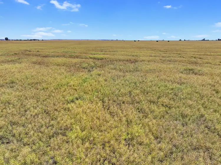 Fourth view of Homely rural property listing, 8724 St Vincent Hwy, Yorketown SA 5576