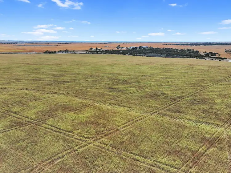 Fifth view of Homely rural property listing, 8724 St Vincent Hwy, Yorketown SA 5576