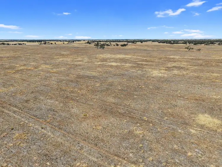 Seventh view of Homely rural property listing, 8724 St Vincent Hwy, Yorketown SA 5576