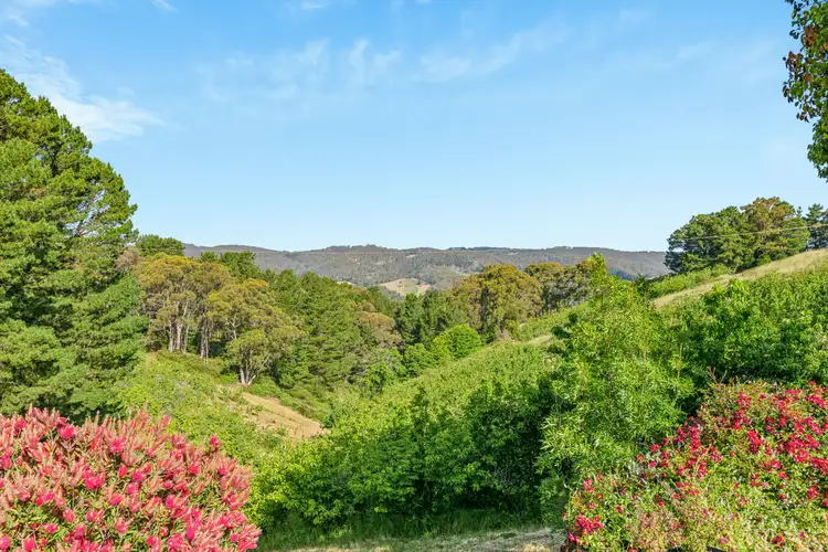 Second view of Homely house listing, 82 Raymonds Rd, Basket Range SA 5138