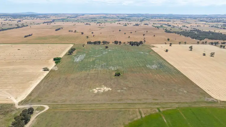 Seventh view of Homely rural property listing, Part 4404 Riverina Hwy, Howlong NSW 2643