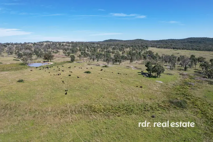1305 Bingara Road, Bundarra NSW 2359