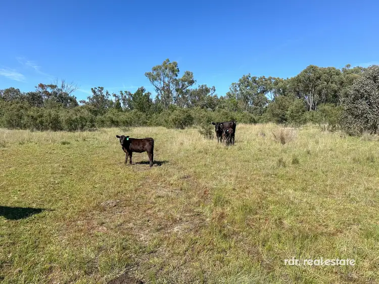 Third view of Homely rural property listing, 1305 Bingara Road, Bundarra NSW 2359