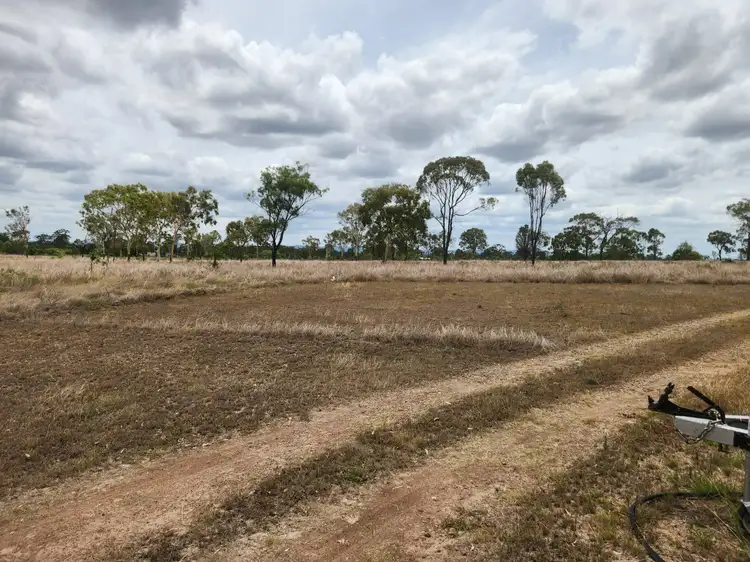 Fourth view of Homely rural property listing, 260 Mckenzie Rd, Alton Downs QLD 4702
