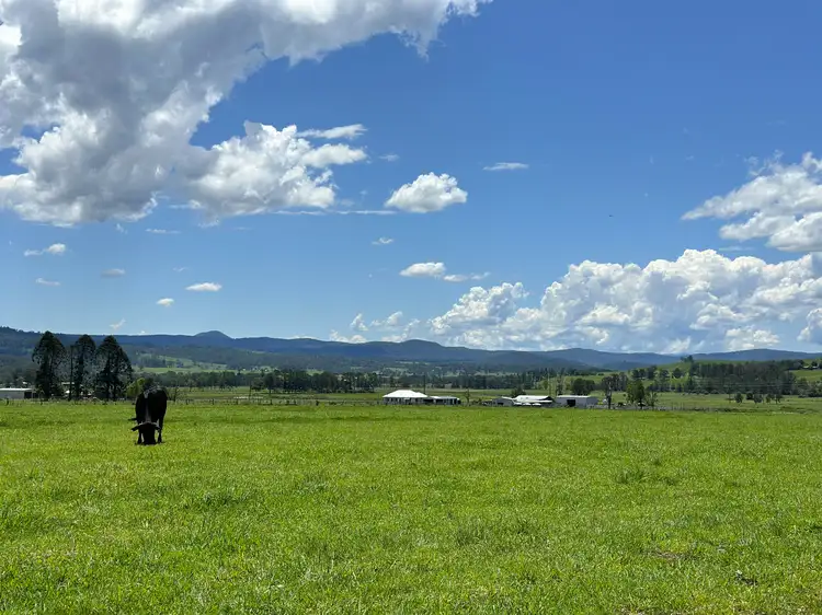 Second view of Homely rural property listing, 119 Duck Creek Road, Old Bonalbo NSW 2469
