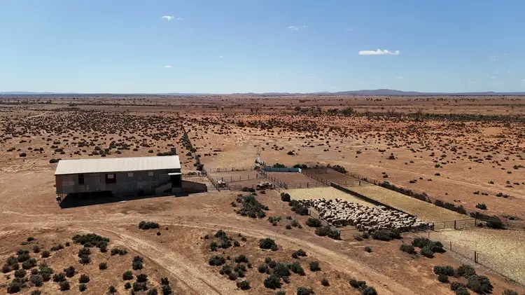 Main view of Homely rural property listing, 'Cavenagh' Orroroo-Paratoo Road, Cavenagh SA 5422
