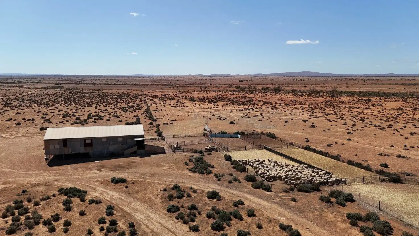 Main view of Homely rural property listing, 'Cavenagh' Orroroo-Paratoo Road, Cavenagh SA 5422