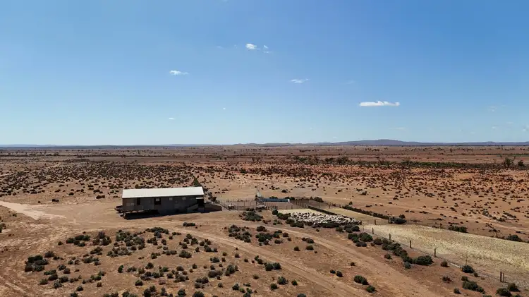 Seventh view of Homely rural property listing, 'Cavenagh' Orroroo-Paratoo Road, Cavenagh SA 5422