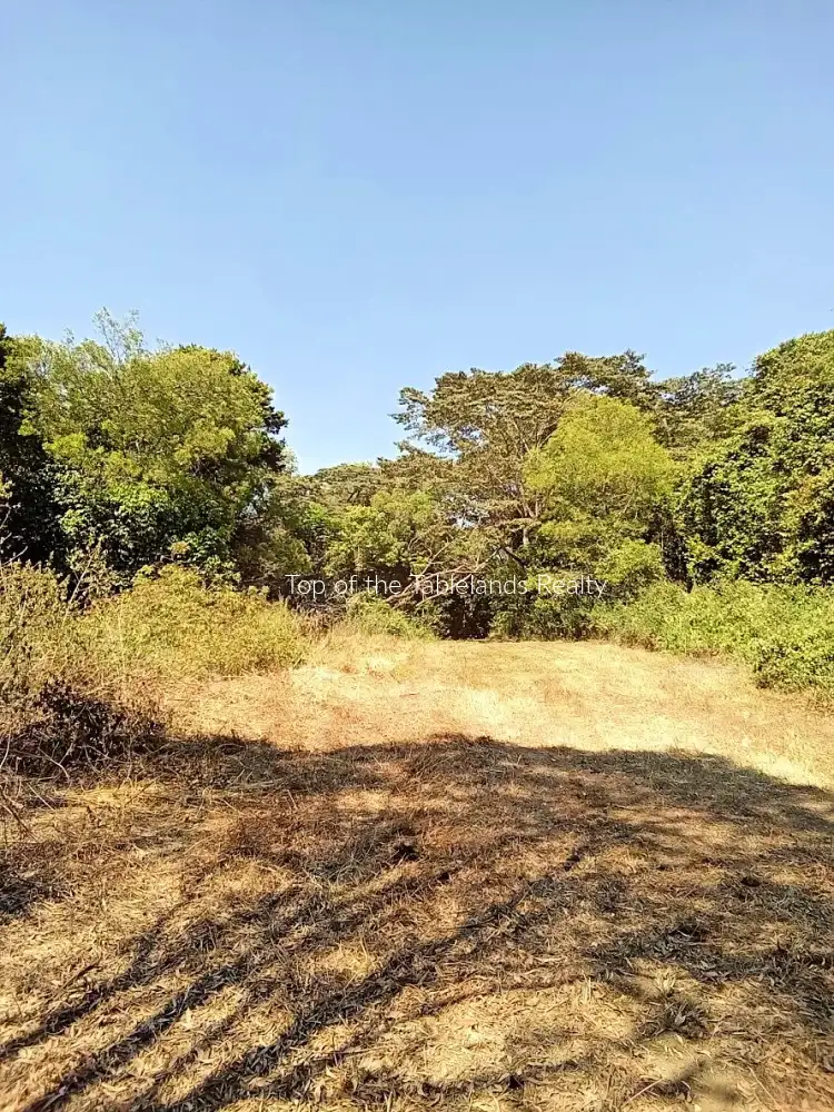 Fifth view of Homely rural property listing, 11551 Kennedy Hwy, Evelyn QLD 4888