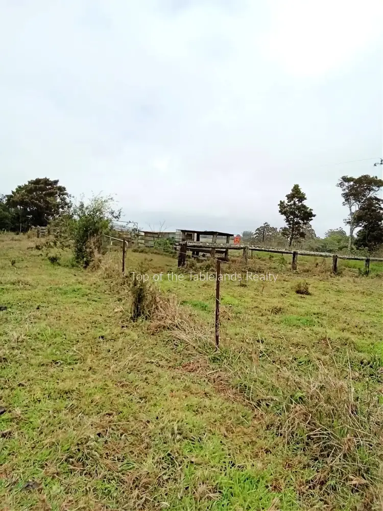 Sixth view of Homely rural property listing, 11551 Kennedy Hwy, Evelyn QLD 4888