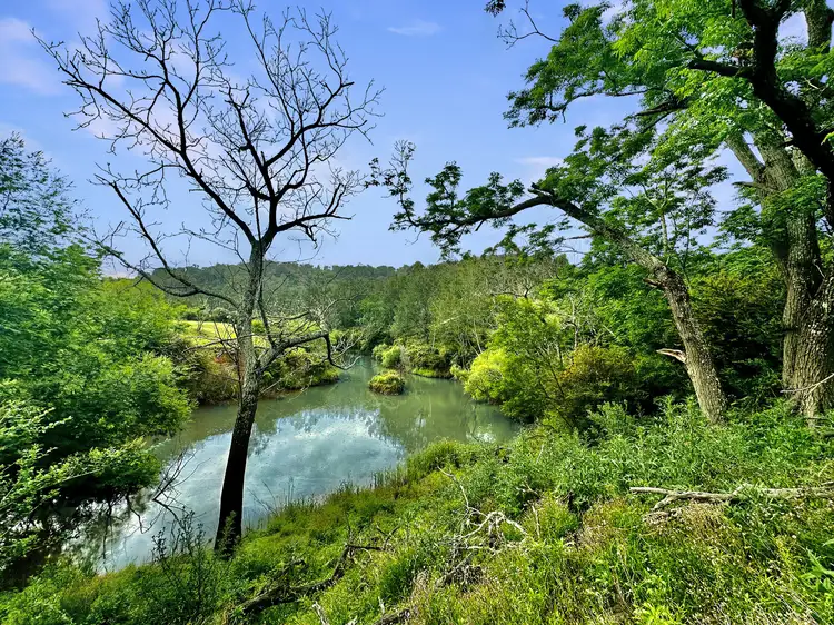 Third view of Homely rural property listing, Address available on request