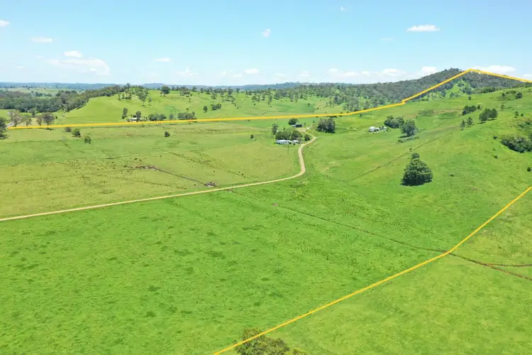 Second view of Homely rural property listing, 611 Collins Creek Road, Kyogle NSW 2474