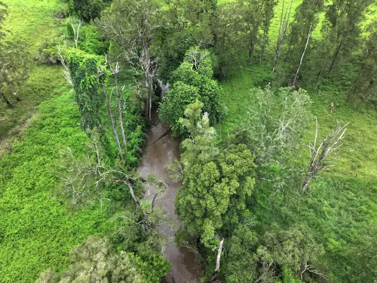 Sixth view of Homely rural property listing, 611 Collins Creek Road, Kyogle NSW 2474