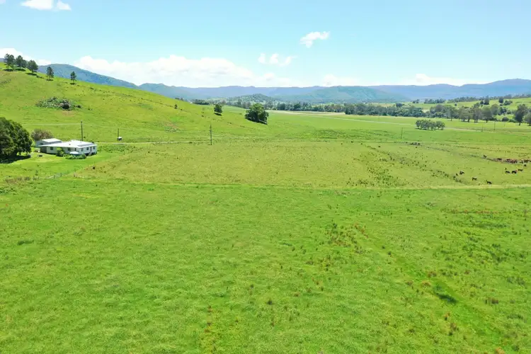 Seventh view of Homely rural property listing, 611 Collins Creek Road, Kyogle NSW 2474