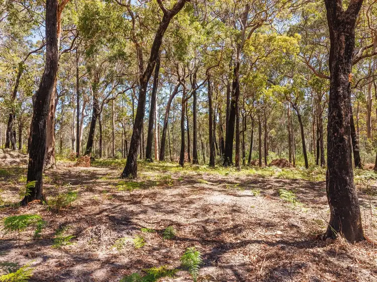 Main view of Homely land listing, 72 Wonboyn Rd, Wonboyn VIA, Eden NSW 2551