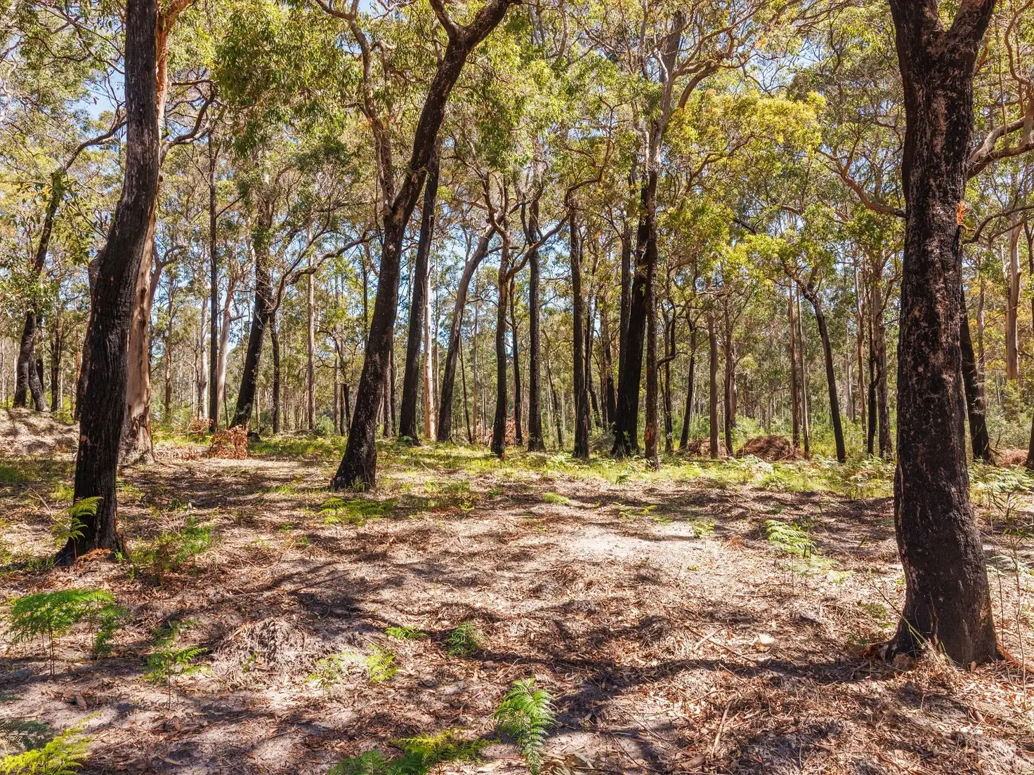 Main view of Homely land listing, 72 Wonboyn Rd, Wonboyn VIA, Eden NSW 2551