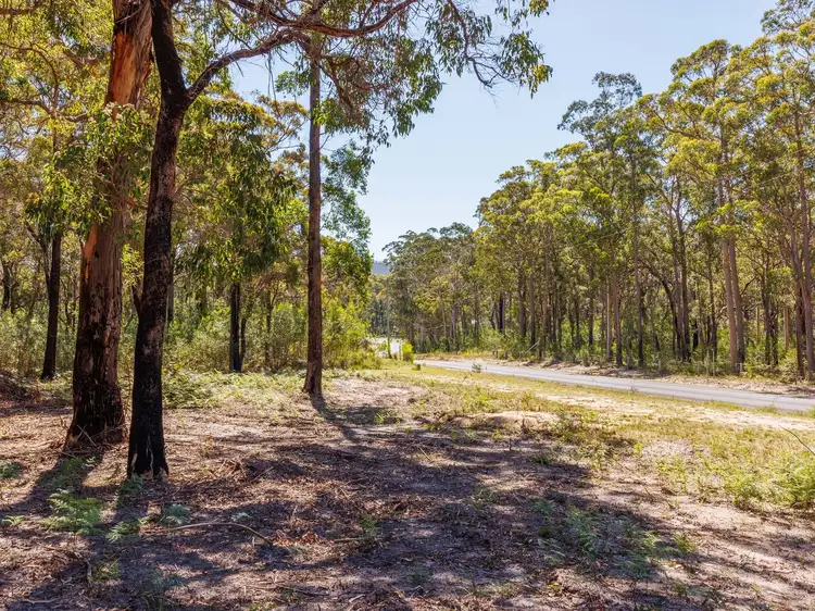 Third view of Homely land listing, 72 Wonboyn Rd, Wonboyn VIA, Eden NSW 2551