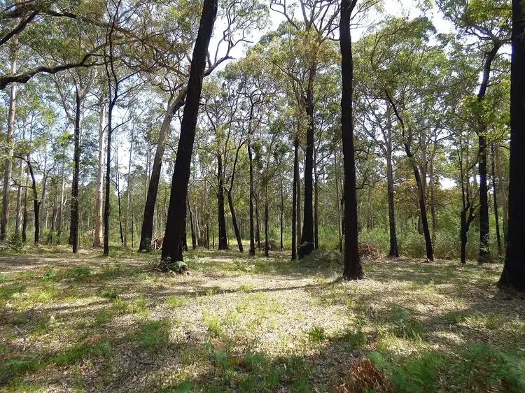 Seventh view of Homely land listing, 72 Wonboyn Rd, Wonboyn VIA, Eden NSW 2551