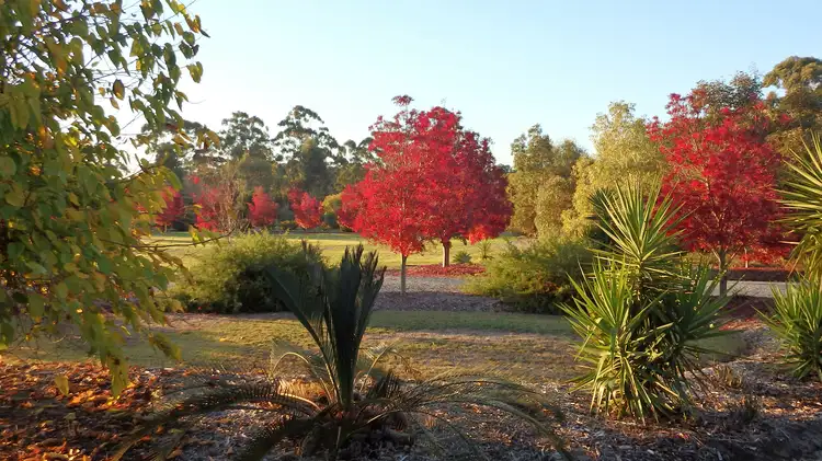 Seventh view of Homely house listing, 61 Tuart Rd, Oakford WA 6121