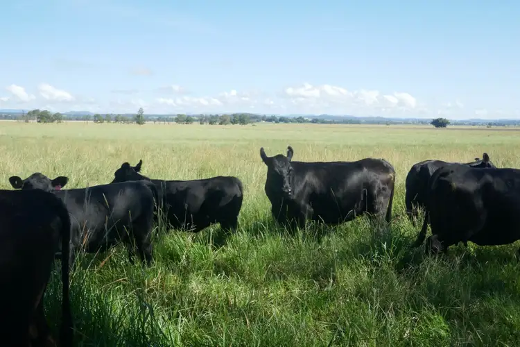 150 Fairy Hill Station Rd, Casino NSW 2470